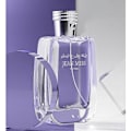 Miniatyrbild 5 av 5: HAWAS FOR HIM Eau de Toilette 100ML, långvarig herrspray