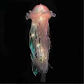 Miniatyrbillede 4 af 5: 5 stk. Jellyfish Natlampe Bærbar Blomsterlampe Hængende Jellyfish Lys til Soveværelse Værelse Atmosfære