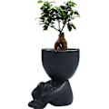 Pikkukuva 3 / 4: Keraamiset veistokset Hartsi mehikasvi ruukku, ihana istuva henkilö muotoinen bonsai-istutuslaatikko pöytäkoristeeksi