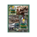 Miniatyrbild 5 av 5: IC Koolmei 6-pack Hängande Flugfälla Engångsfälla för Flugor