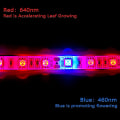 Miniatyrbild 4 av 5: LED-växtremsa IP65 Vattentät Full Spectrum SMD 5050 Röd Blå 3:1 Repljus DC 12V