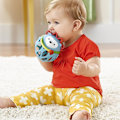 Pikkukuva 3 / 5: Baby Rattle Toy, Explore and More Roll Around Rattle, Hedgehog