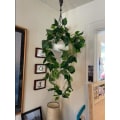Miniatyrbillede 5 af 5: Kunstige hængende planter Ivy Vine falske blade Greeny kæde væg hjem værelse have bryllup guirlande (1 stk, ingen kurv)