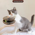 Miniatyrbild 2 av 3: Katt Leksak, 2 i 1 Vikbar Kartong Klösbräda, med Klockkula, Interaktiv Leksak