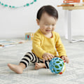 Pikkukuva 4 / 5: Baby Rattle Toy, Explore and More Roll Around Rattle, Hedgehog