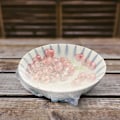 Miniatyrbillede 4 af 5: Friskeholdende poser, elastiske fødevareopbevaringsdæksler, strækbare plastiklåg, krympelige forseglede fødevareovertræk til tallerkener og skåle frugt, 100 stk.