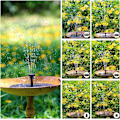 Miniatyrbillede 3 af 6: Solar fountain Solar powered Fountain vand springvand / Vandpumpe vY black