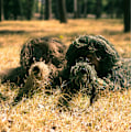 Miniatyrbilde 4 av 4: Barn Ghillie Kostymer Sniper Halloween Army Kostyme hvit2 white 150