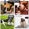 Miniatyrbilde 5 av 5: Beeping Dog Interactive Toy, Ikke-utstoppet Octopus Dog Chew Toy W Grön