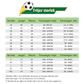 Miniatyrbillede 2 af 2: Real adrid CF 22-23 Udebanetrøje VINI JR. nr. 20 Fodboldtrøjesæt C M