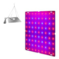 Miniatyrbillede 1 af 5: Plant Led Vækstlys Fuld Spektrum Vækstlys Til Indendørs Planter Quantum Board Vækstlys Lavt Strømforbrug Grøntsager (eu) Starlight