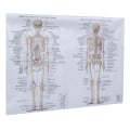 Pikkukuva 2 / 3: 1 kpl Ihmisen luurankolihaksen opetuskuva Anatomian juliste Anatomian maalaus Sekalainen väri 70X50CM