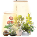 Miniatyrbilde 2 av 4: Plantevekstlys, fullspektrum LED-plantelys for innendørs planter