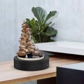 Miniatyrbild 4 av 5: 360 Graders Elektrisk Snurrplatta, Automatisk Snurrplatta, Visningsbord (1st) Svart Black
