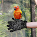 Miniatyrbild 2 av 5: Fågelträning Anti-Bita Handskar, Skyddande Papegoja Tugghandskar Djurhantering Handskar Tuggande Skyddshandskar