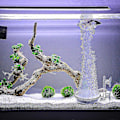 Miniatyrbillede 5 af 5: En Akvarie Luftsten Til Akvarium Med Sugkop Høj Opløst Tiny Bobler Ovn Oxygen Diffuser