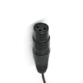 Miniatyrbillede 2 af 5: 3-polet 2 XLR Hun til 3,5 mm 1/8' TRS Han Stik Stereo Lydkabel Adapterledning Sort
