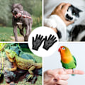 Miniatyrbild 4 av 5: Fågelträning Anti-Bita Handskar, Skyddande Papegoja Tugghandskar Djurhantering Handskar Tuggande Skyddshandskar