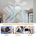 Miniatyrbild 5 av 5: Dimmable LED Ceiling Fan with Remote Control, 4 Speeds, 3 Color Temperatures, E27 – For Bedroom