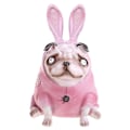 Miniatyrbillede 2 af 5: Halloween-dukke Græskar Pug Håndlavet Dukke Skulptur Harpiks Håndværk Have Havebord Fest Gave Hjem Dekoration Pine pug