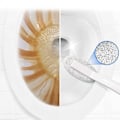 Pikkukuva 5 / 5: WC-harja WC-pesuharja Puhdistusharja