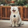 Miniatyrbillede 5 af 5: Bluetooth 5.0 To-vejs Alarm Intelligent Placering Mobiltelefon Nøgle Tabt Forebyggelse Enhed Sort