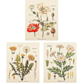 Miniatyrbild 1 av 5: 3-pack Blomstervävväggbonad - Vildblomsplantväxtblommig väv Identifieringsreferenskarta Liten väv för sovrum vardagsrum (väv
