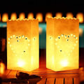Miniatyrbilde 2 av 5: Month of Stars 20 stk. Hvit lyspose Flammesikker lykt