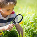 Miniatyrbillede 4 af 5: LED-lys Håndholdt Forstørrelsesglas Lupe Observationsboks Med Skala Inspektionsfrimærker C B