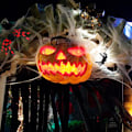 Miniatyrbilde 3 av 5: Kunstig edderkoppnett Halloween-dekorasjon Skummel fest scene rekvisitt Strekk edderkoppnett Svart