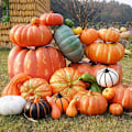 Pikkukuva 2 / 5: Simuloitu Kurpitsa Malli Tekokurpitsoja Halloween DIY-Käsityö Koti Syntymäpäiväjuhlat Hääkoriste Keltainen Kurpitsa Kahvalla