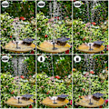 Miniatyrbillede 5 af 5: DIY Solcelle Springvandspumpe, Solpanel Støv Drevet Vandfunktionspumpe med 6 Dyser, DIY Solcelle Støv Pumpe til Have, Fuglebad, Akvarium