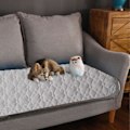 Miniatyrbild 5 av 5: Kylmatta för Hund & Katt i Is-Silke 2XL