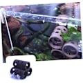 Miniatyrbillede 5 af 5: 20 stk. Sug kopper Sucker Uden Kroge Akvarium Hook Up Transparent slips Sug kopper til vandindløb og udløb fiksering