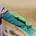 Miniatyrbillede 5 af 5: Anti-Bid Arbejdshandsker, Bidresistente Dyrehåndteringshandsker til Svejsning, Havearbejde, Håndtering af Hund Kat Reptil Slange