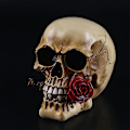 Miniatyrbillede 3 af 5: Rose Skull Harpikskranie Skrivebord Stue Halloween Party Spøgelseshus Dekorationer