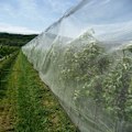 Miniatyrbillede 2 af 5: Anti-Insekt Dække til Planter Anti-Flyvende Fugl Dække Høj Densitet Skyggefri Plante Net til Planter