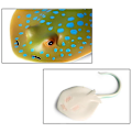 Miniatyrbilde 5 av 5: Simulert marint liv modell leketøy djevelfisk demonfisk manta ray fisk barneleketøy dekorasjon