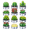 Miniatyrbilde 4 av 5: 12 stk Kaktus Teelys Håndlagde Delikate Sukkulente Kaktuslys For Fest Bryllup Spa Hjemmedekorasjon GaverB B