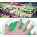 Miniatyrbillede 2 af 5: 4 x 12 meter, have net, plantebeskyttelse til blomster, maks. 48 m², klippet