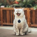 Miniatyrbillede 5 af 5: Bluetooth 5.0 To-vejs Alarm Intelligent Lokations Mobiltelefon Nøgle Tabt Forebyggelse Enhed Mørkeblå