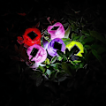 Miniatyrbillede 4 af 5: 12 stk. Udendørs Solcelle-Gadelamper, Tulipanblomst Solcelle-Græsplænelamper Til Terrasse, Græsplæne, Havedekoration