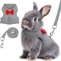 Rabbit Harness and Leash Set, Rabbit Leash for Walking Escape Proof, Rabbit Clothes with Cute Bow, Breathable Adjustable Vest, Rabbit Harness for Camping