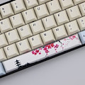 Miniatyrbild 5 av 6: PBT Five Sides Dye-subbed Space Bar 6.25U Profil Keycap för mekaniskt tangentbord (Färg: KIT 5)