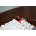 Miniatyrbild 2 av 5: 1 st Harts Handgjorda Key Cap 3D Stereoskopisk Mekanisk Tangentbord Keyboard För Gold Dragon Head Med Ring (Färg: 1st Key Cap)