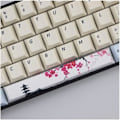 Miniatyrbild 1 av 6: PBT Five Sides Dye-subbed Space Bar 6.25U Profile Keycap för mekaniskt tangentbord (Färg: KIT 2)