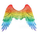 Pikkukuva 1 / 2: Halloween 3D Enkeli Siivet Joustavalla Nauhalla Rainbow