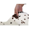 Miniatyrbild 4 av 7: Irregular Cute Cow Print Matta Nice Zebra 140*160cm