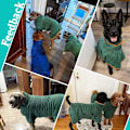Miniatyrbild 8 av 8: Hundtorkrock Badrock Handduk, Mikrofibermaterial Snabbtorkande Superabsorberande Hundbadrock Grey M