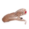 Miniatyrbild 3 av 7: 50cm Facehugger Alien 110cm Chestburster Plyschleksak MXHB-2
